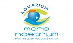 logo_mare_nostrum